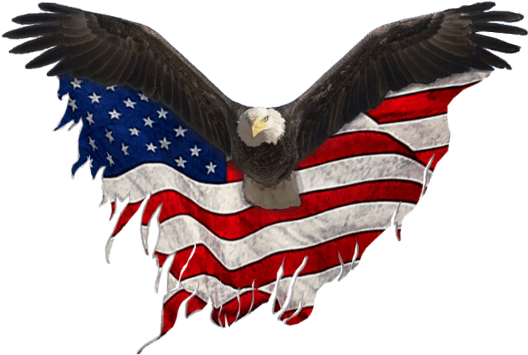 748 X 533 24 - United States Eagle (748x533)