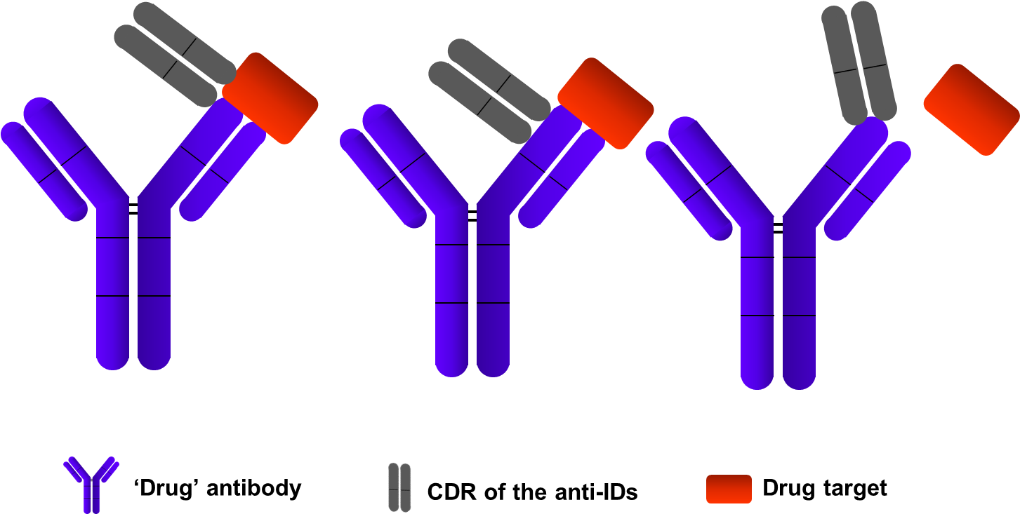 Elisa Assays Development - Elisa Assays Development (1453x740)