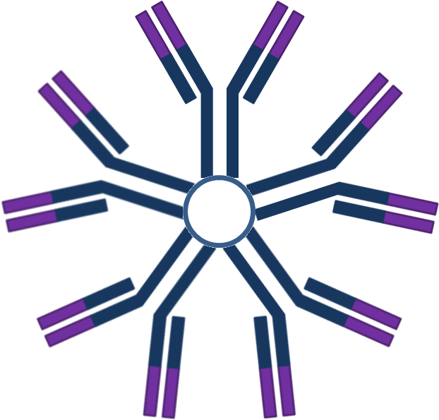 Igm, Structure Of Igm - Ig M Png (711x651)
