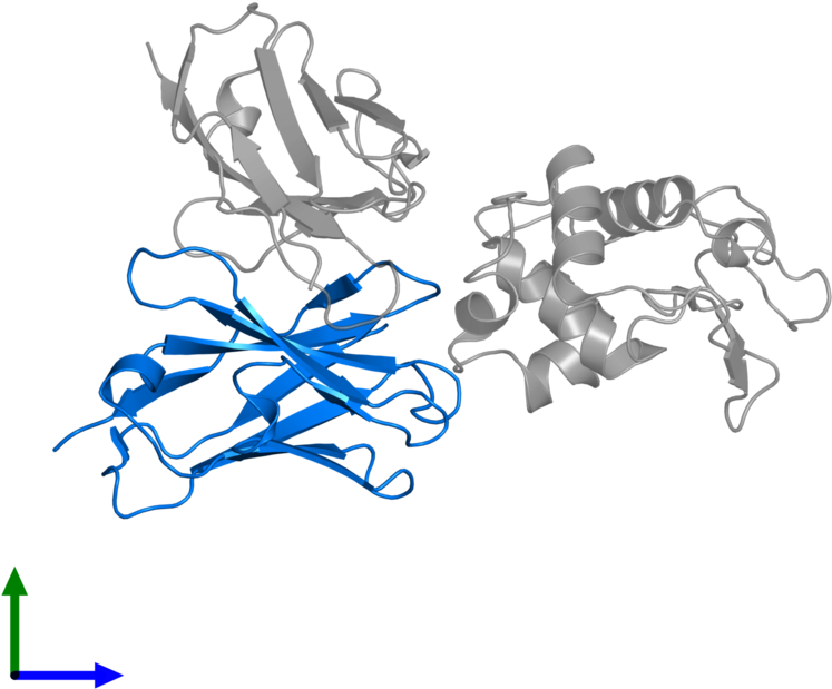 <div Class='caption-body'>pdb Entry 1kip Contains 1 - Graphic Design (800x800)