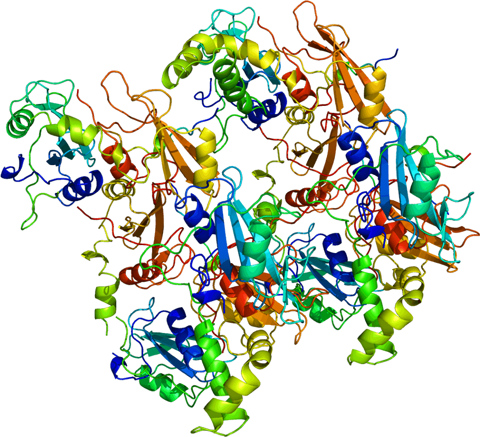 Tyrosine Protein Kinase Syk (1015x928)