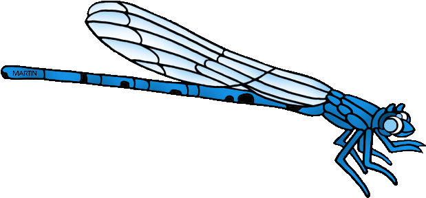 United States Clip Art By Phillip Martin, State Insect - Vivid Dancer Damselfly Drawing (648x312)