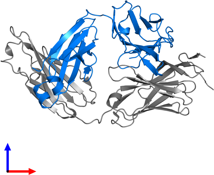 <div Class='caption-body'>pdb Entry 3mlx Contains 1 - Graphic Design (800x800)