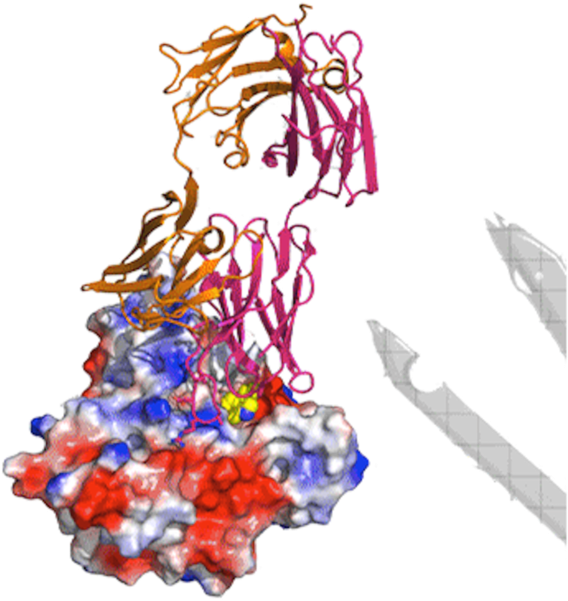 Hiv Antibody Database On The Mac App Store - Illustration (600x600)