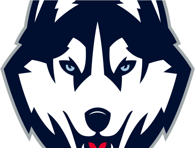 Husky Clipart Washington Huskies - Uconn Husky Logo Png (640x480)