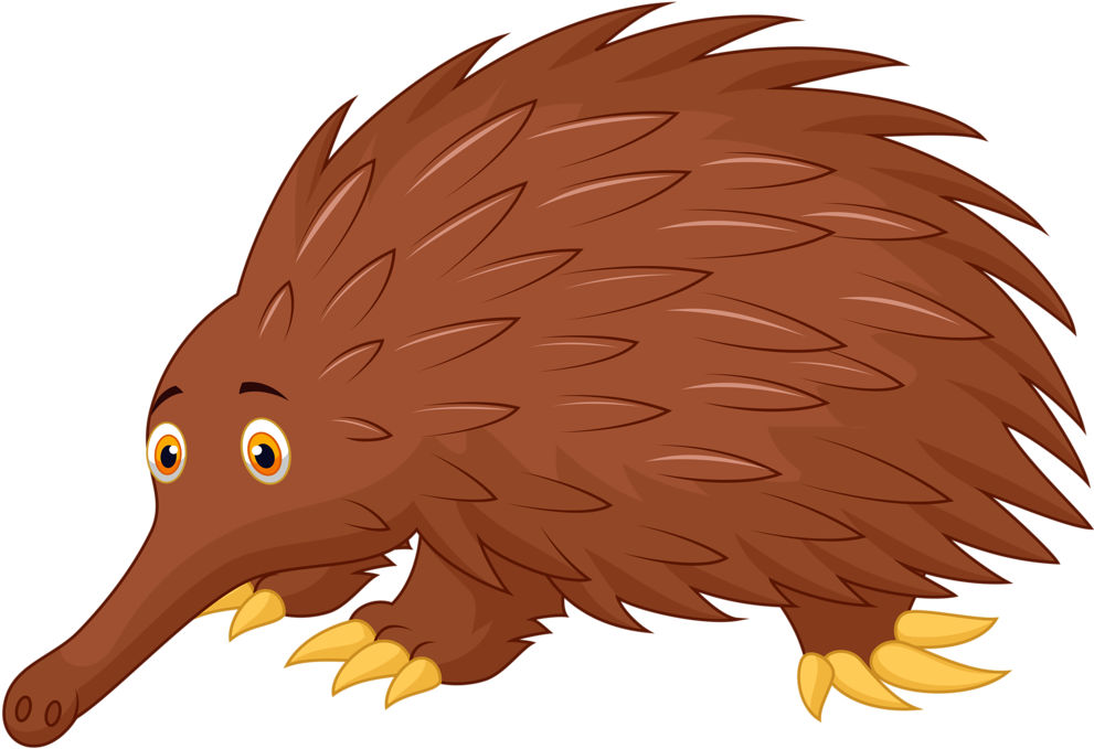 Фотки Mammals, Clip Art, Animals, Illustrations - Echidna (1024x766)