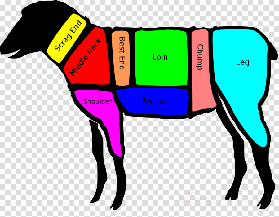 Loin Lamb Clipart Lamb And Mutton Loin Chop - Basic Cuts Of Lamb (900x700)