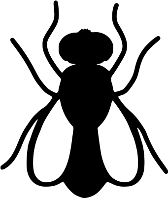 Flies - Flies Icon (400x400)