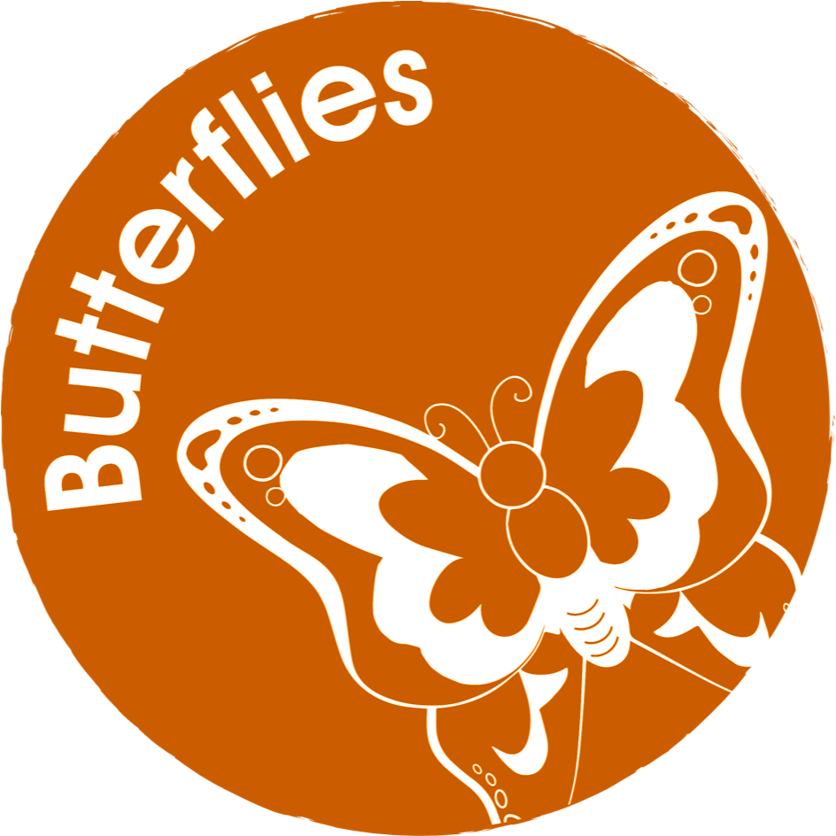 Welcome To Butterflies Eyfs - Circle (960x980)