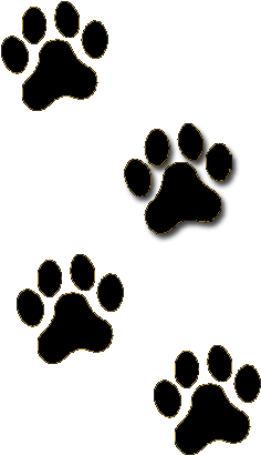 Football Info Kutztown Youth Football & Cheerleading - Paw Print Clip Art (432x432)
