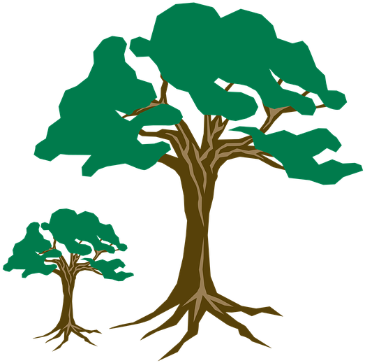 Clipart Tree Green - Arbre Clipart (960x654)