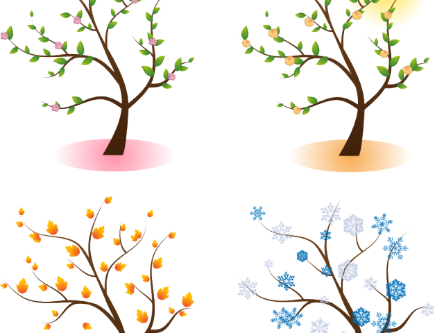Season Clipart Transparent - Four Season Clipart (640x480)