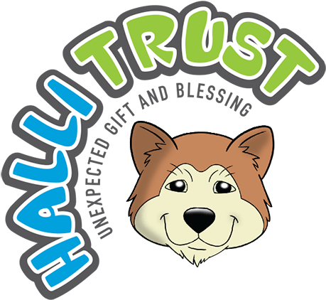 Halli Trust - Accidental Billionaires The Founding (500x445)