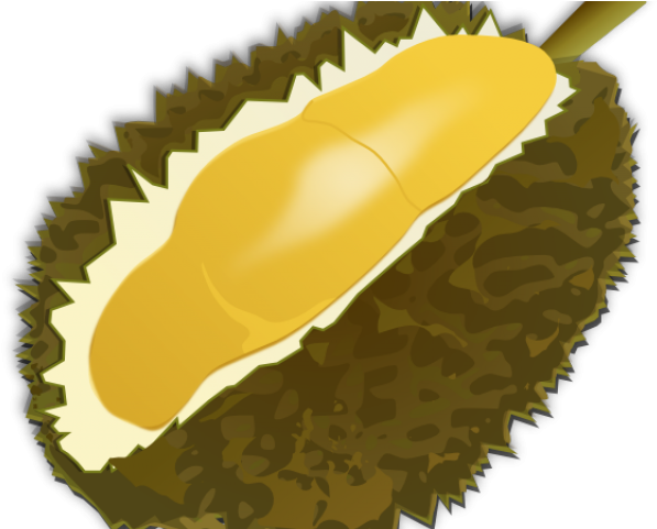 Durian Clipart Clip Art - Durian Fruit Clipart (640x480)