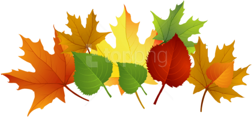 Download Fall Leaves Clipart Png Photo - Fall Leaves Clip Art Png (850x410)