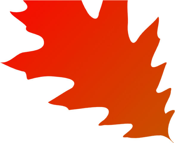 Autumn Leaves Clipart Transparent Background 22 500 - Red Oak Leaf Clipart (640x480)