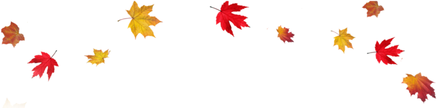 Fall Leaves Transparent Background Clipart Autumn Leaf - Transparent Background Fall Leaves (900x251)