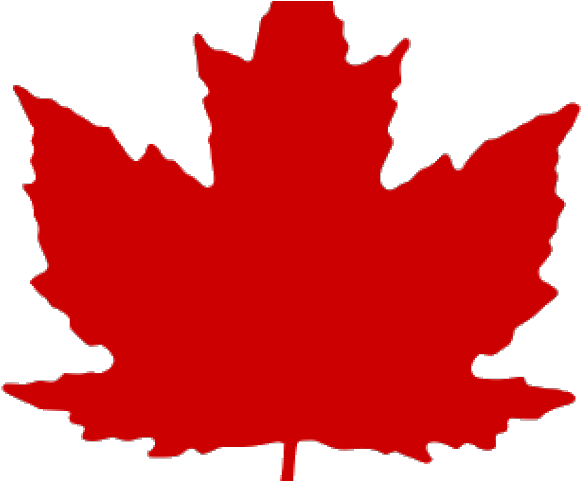 Autumn Leaves Clipart Clear Background - Canadian Air Force Roundel (640x480)