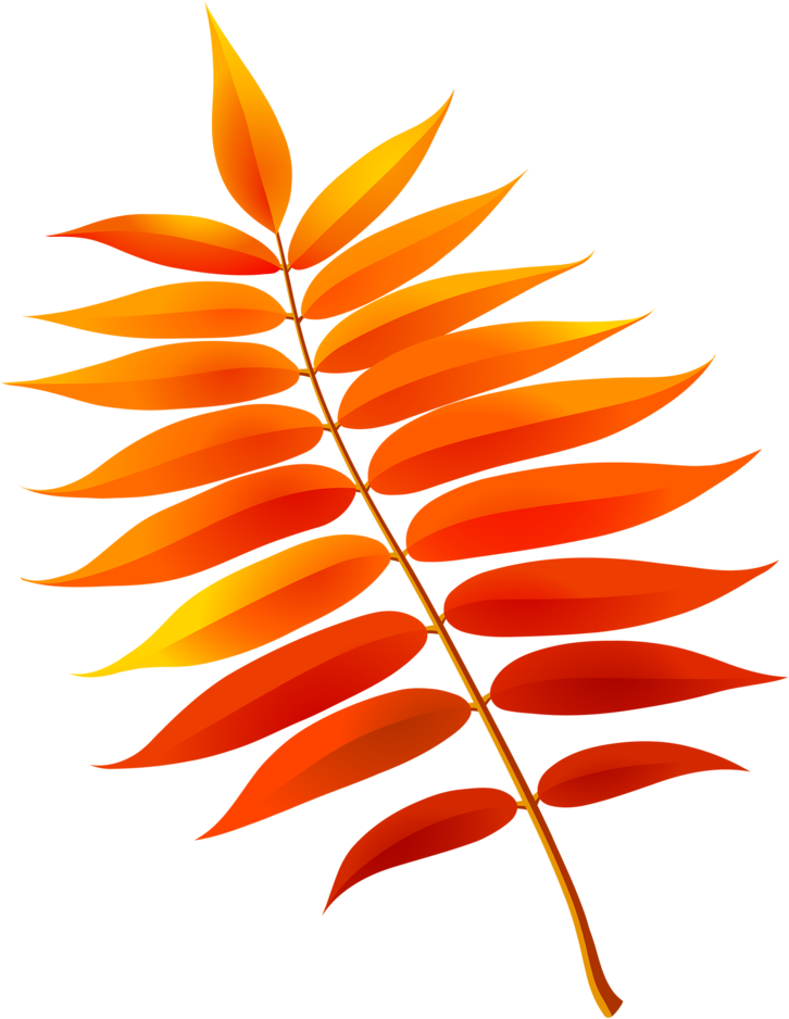Фотки Paper Background, Rubrics, Autumn Leaves, Scrapbook - Осенние Листья Тополя (762x1024)