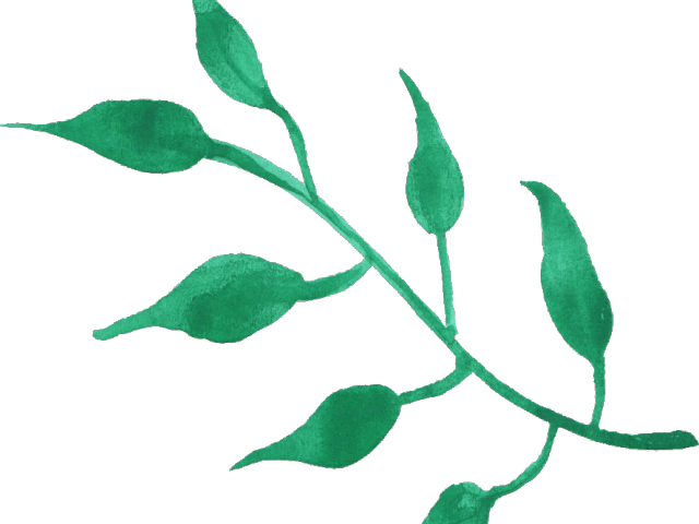Water Color Clipart Leaves - Transparent Watercolor Leaves Png (640x480)