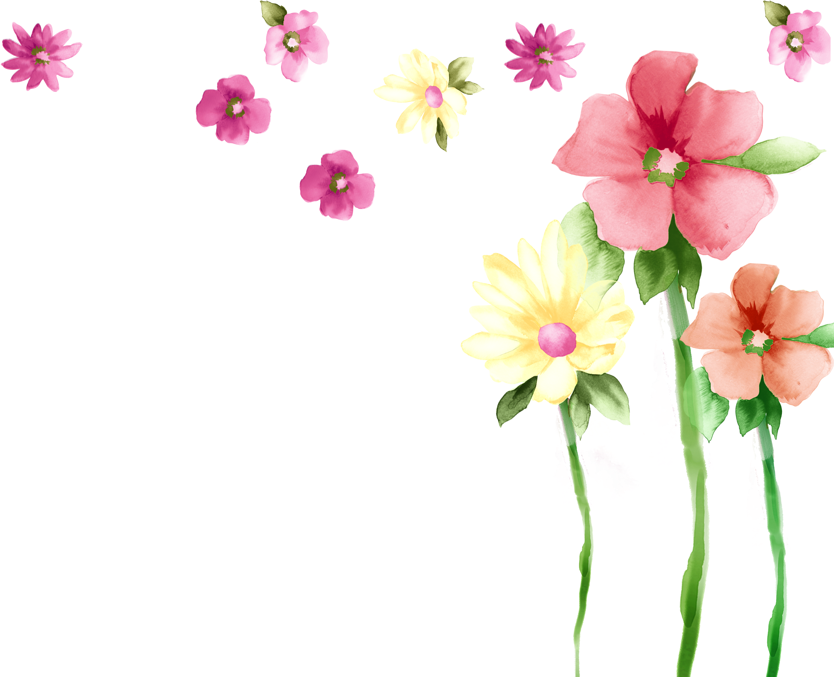 Primrose Moth Orchids Spring Petal Malvales - Watercolor Painting (3780x2835)