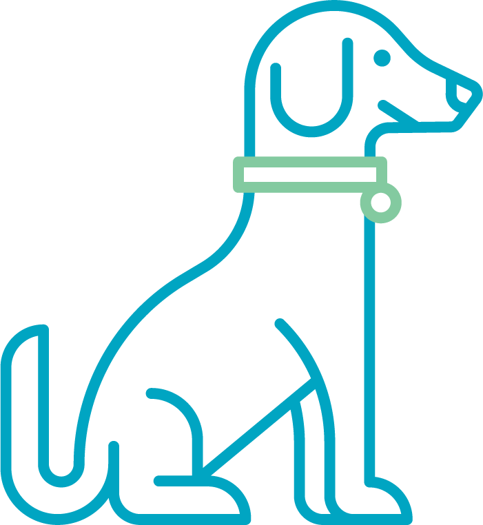 Dog-friendly Office - Dog-friendly Office (701x762)