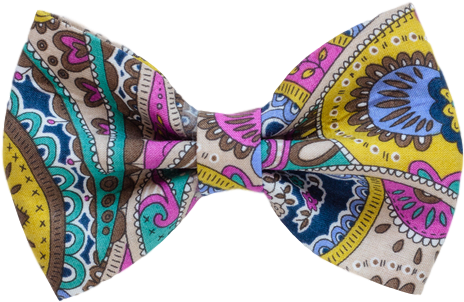Pretty Wild Hair Bow Clip Single Liberty Paisley - Paisley (750x750)
