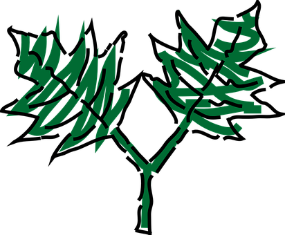Leaves, Green, Two, Tree, Plant - Clip Art (412x340)