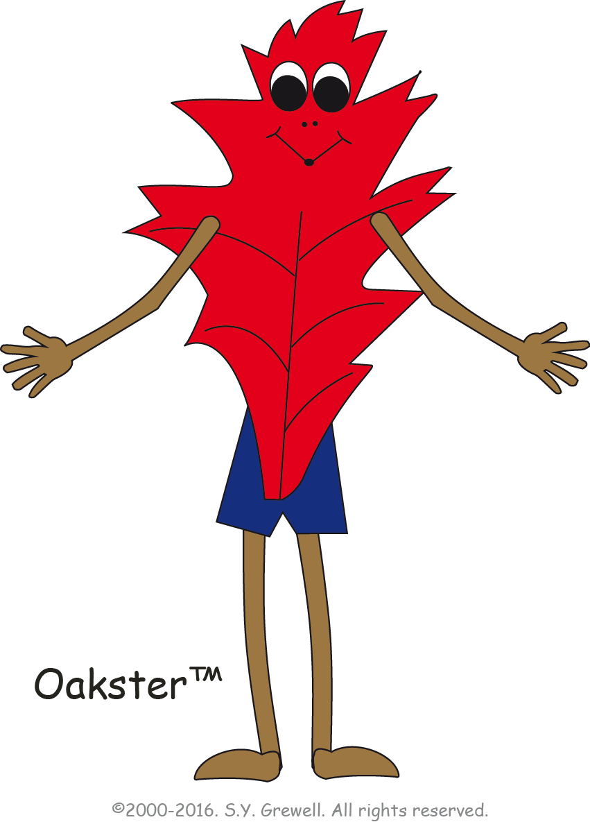 The Oak Leaf - Illustration (851x1185)