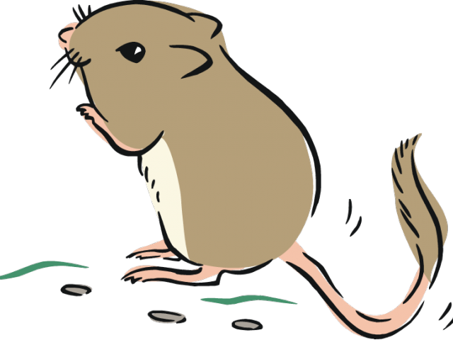 Zodiac Clipart Rat - Kangaroo Rat Clipart (640x480)