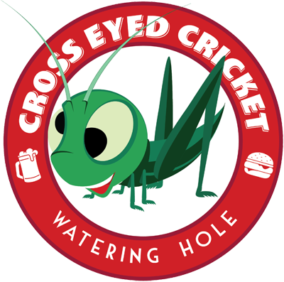 Cross Eyed Cricket Watering Hole Bar (400x397)