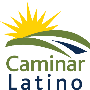 Steps Against Domestic Violence - Graphic Design (370x368)