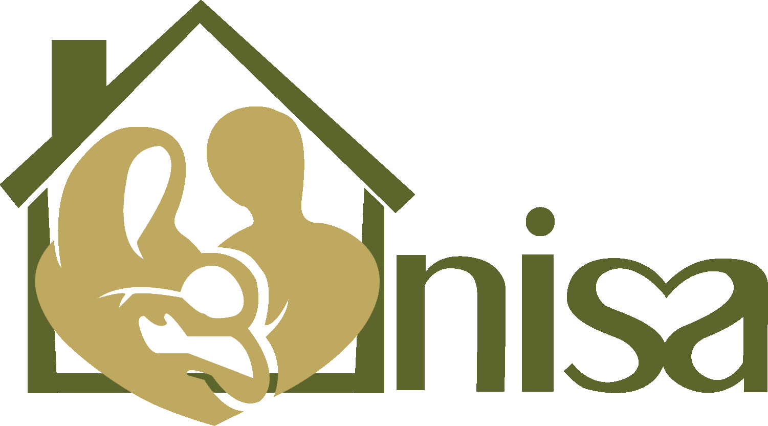 About North American Islamic Shelter For The Abused - Nisa (1501x832)