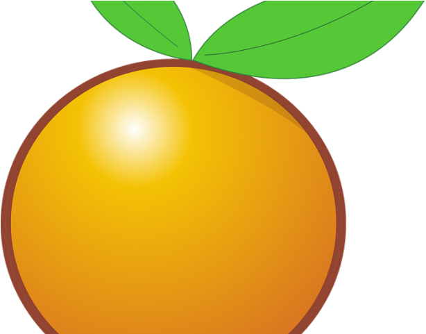 Tangerine Clipart Jeruk - Orange Clip (640x480)