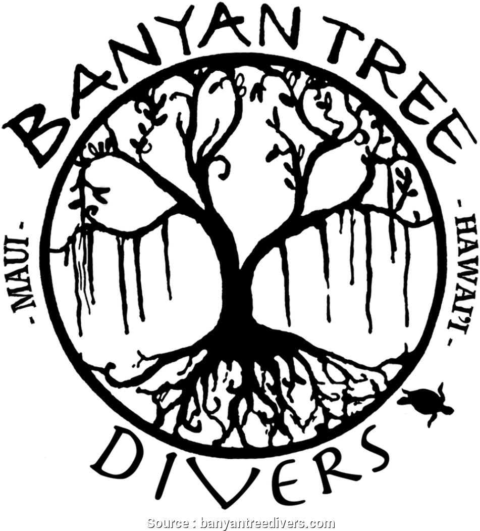 Sample Business Plan Dive Shop Cleaver Banyan Tree - Banyan Tree (1000x1077)