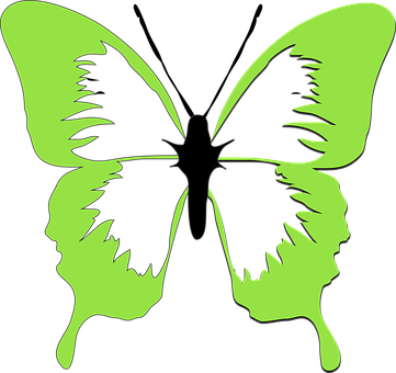 Butterfly, Drawing, Art, Beautiful - Lime Green Butterfly Clip Art (361x340)