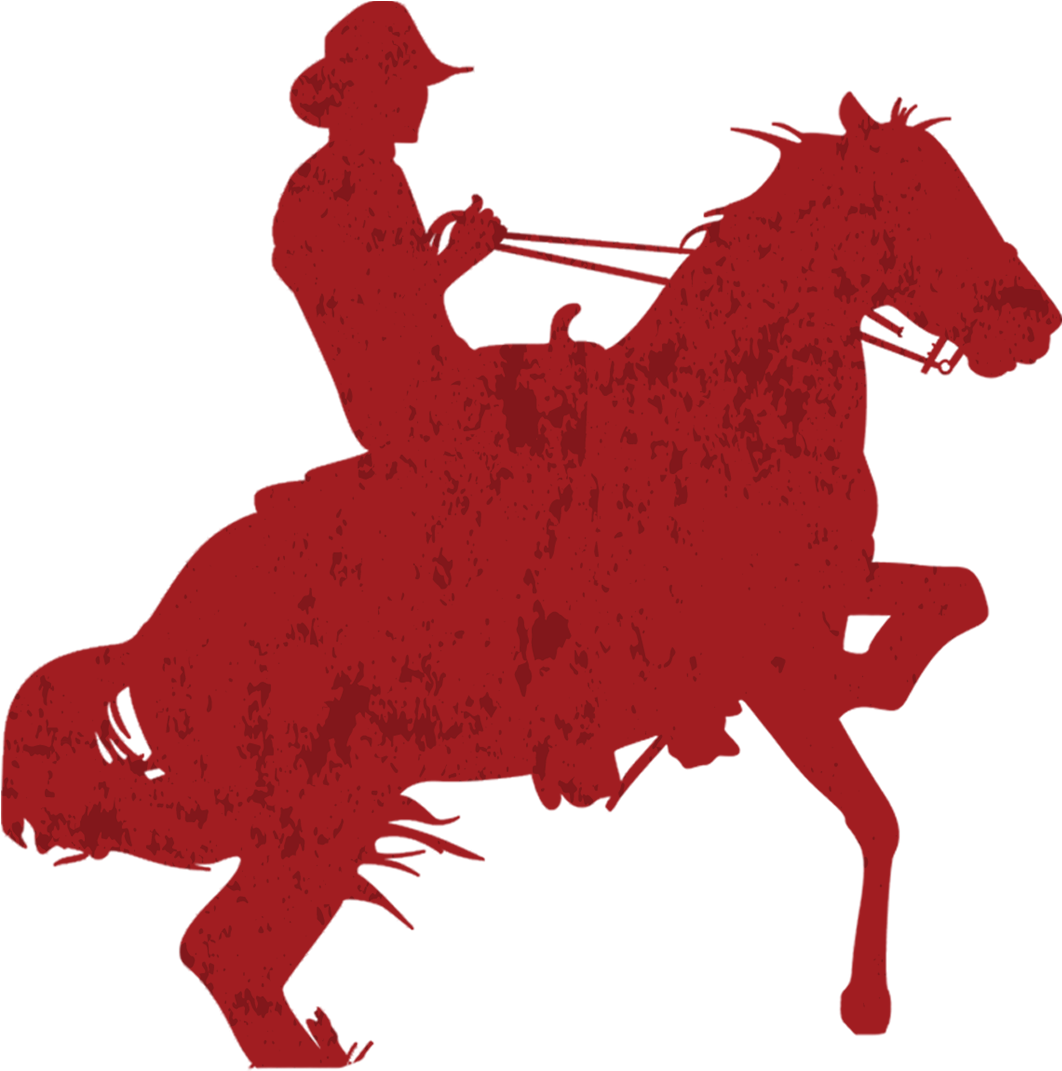 Dg Designer 967990de - Silueta De Gaucho En Caballo (1124x1124)
