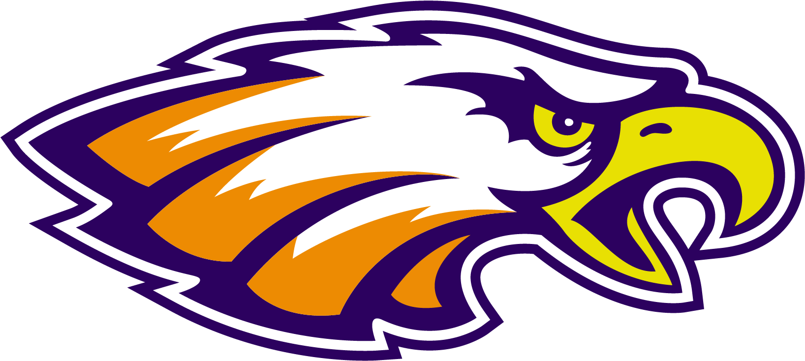 Barneveld School District A Community Striving Towards - Pequot Lakes Patriots Logo (1676x747)