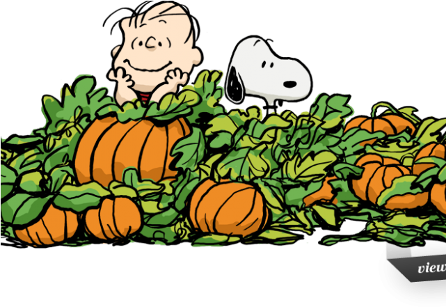 Peanut Clipart Autumn - Great Pumpkin Charlie Brown Clipart (640x480)