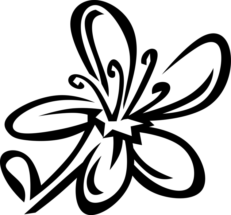 753 X 700 1 - 753 X 700 1 (753x700)