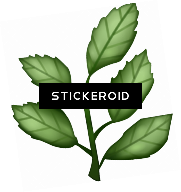 Herb - Illustration (631x671)