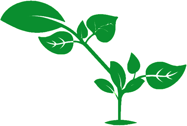 Urban Organic Gardening - Urban Organic Gardening (649x436)