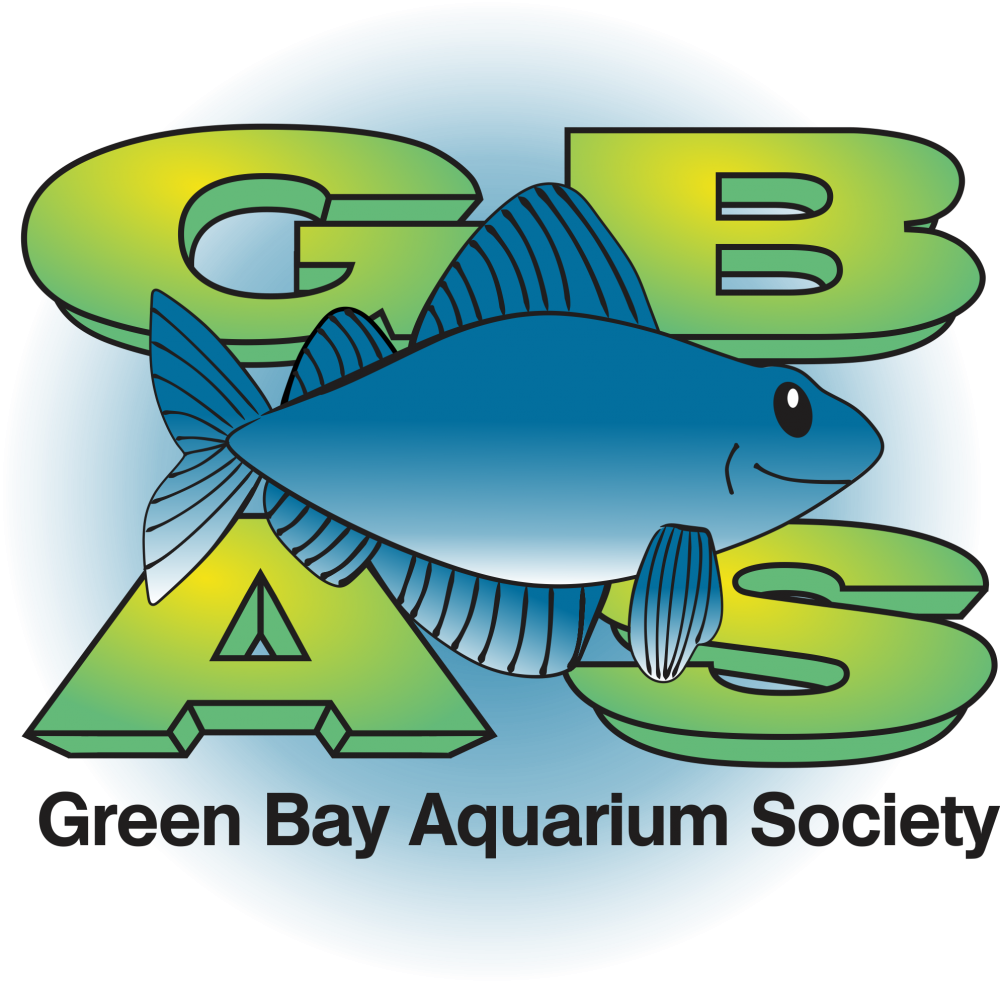 Upcoming Events - Cartoon (1000x984)