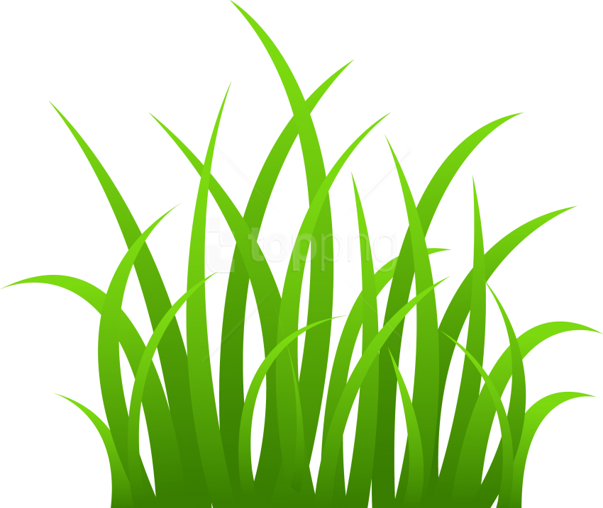 Free Png Grass Png Images Transparent - Grass Clipart (850x717)