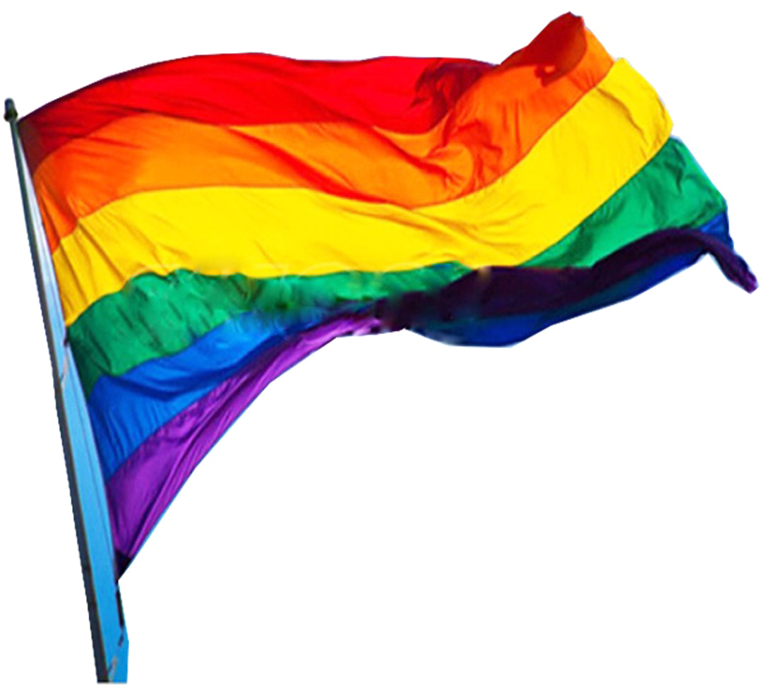 Lgbt Png - Homosexuality Flag.