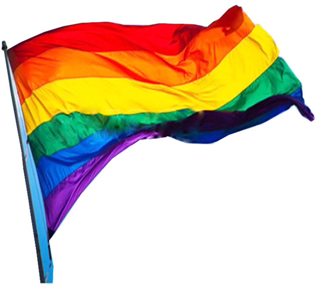 Lgbt Png - Homosexuality Flag (1100x1100)