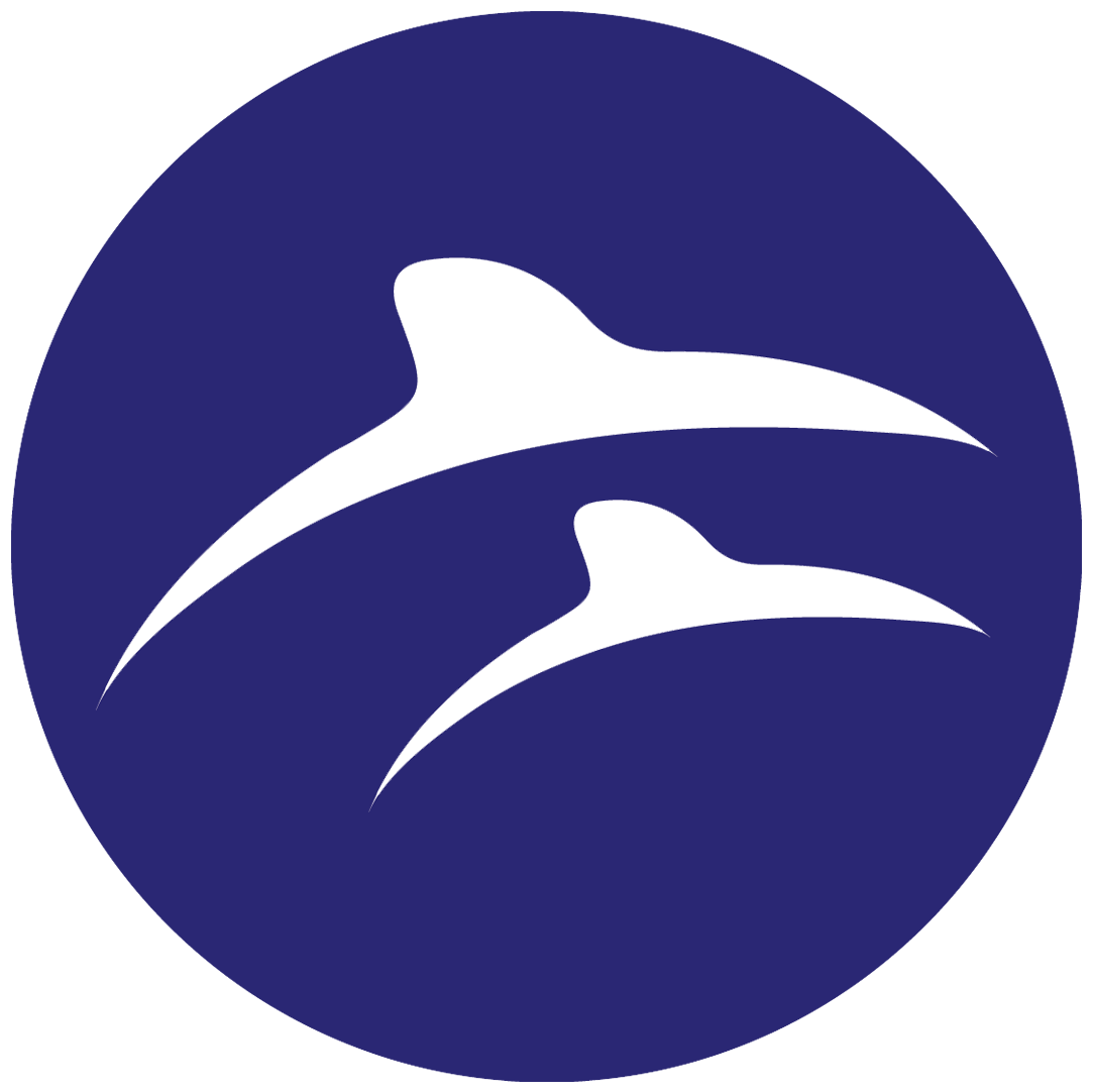 ©2019 Elsa-energy All Rights Reserved - ©2019 Elsa-energy All Rights Reserved (1100x1100)