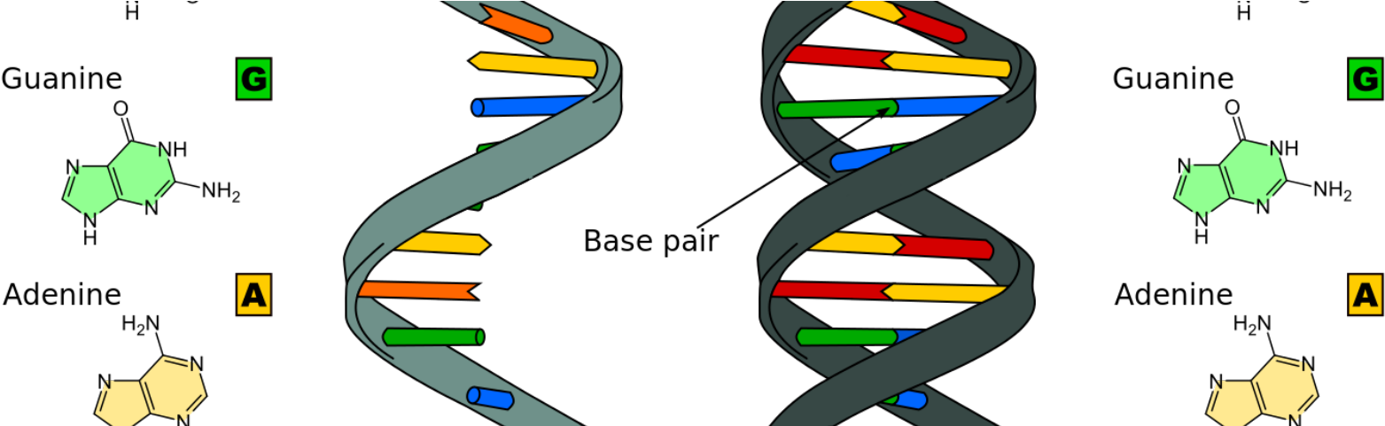 What Does Alien Life Look Like - Arn Y Sus Partes (1600x480)
