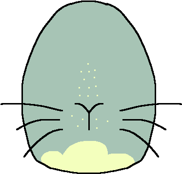 Official Septi-cyre Egg By Nillaberry - Coruniversitec (500x500)