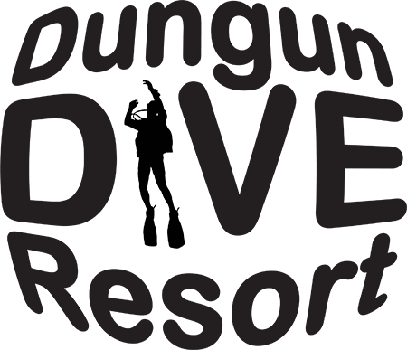 Dungun Dive Resort - Toss A Bocce Ball (450x387)